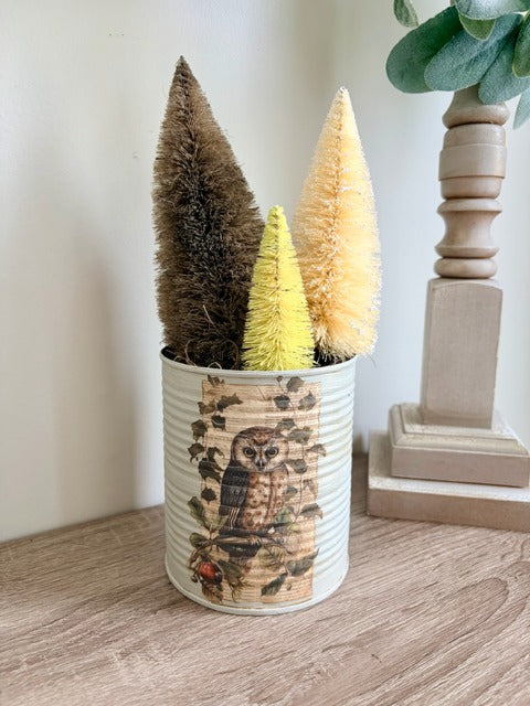 Decorative bottlebrush trees in a tin can with owl design 