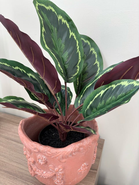 Potted plant with green and red leaves in a decorative pot on a wooden surface.