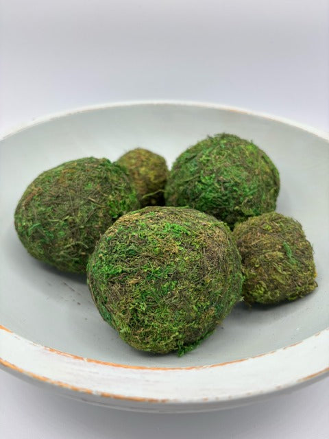 Green moss balls on a white bowl with a white background