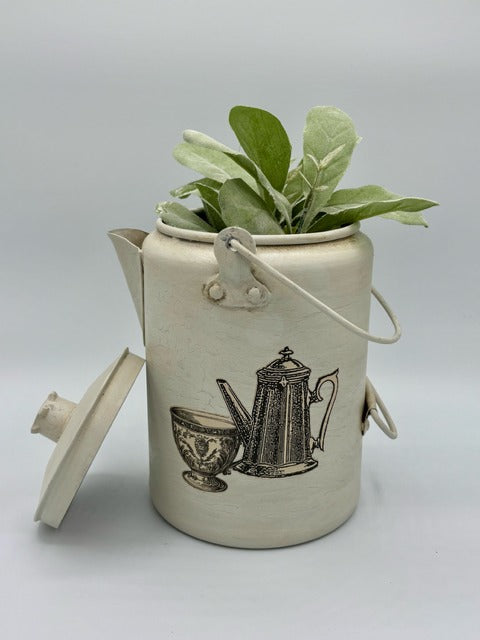 Metal teapot with plant on a white background