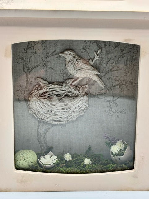 Decorative shadowbox with a bird's nest illustration 