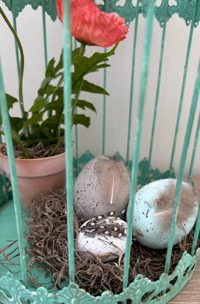 Decorative teal birdcage with plants and eggs 