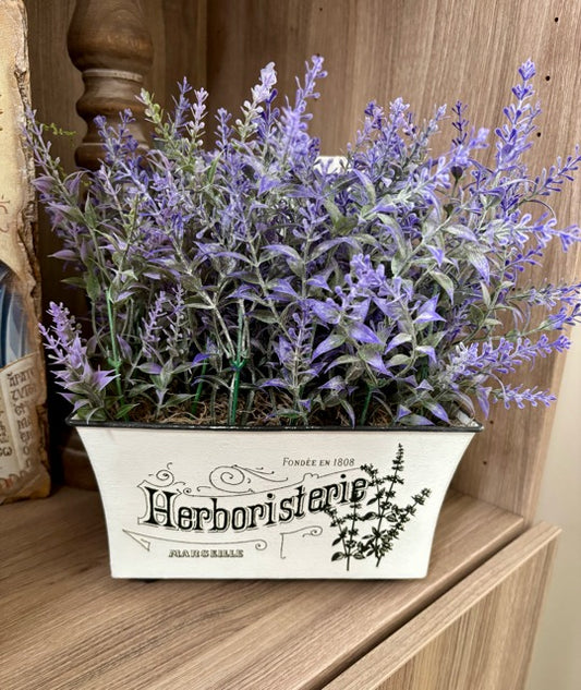 Decorative planter with lavender-like flowers 