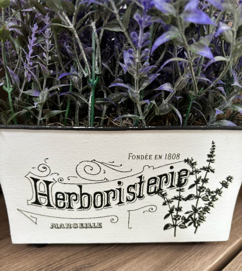 Decorative planter with lavender-like flowers 
